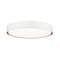 Z-Lite Kawan 1 Light Flush Mount, 20in. W x 5.25in. L, Matte White and Modern Gold 1014F20-MW-MGLD-LED - alternate 1